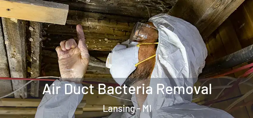 Air Duct Bacteria Removal Lansing - MI