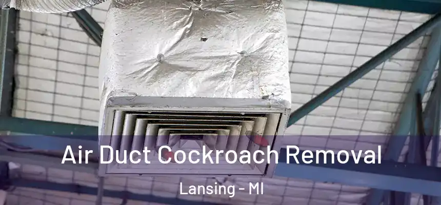 Air Duct Cockroach Removal Lansing - MI