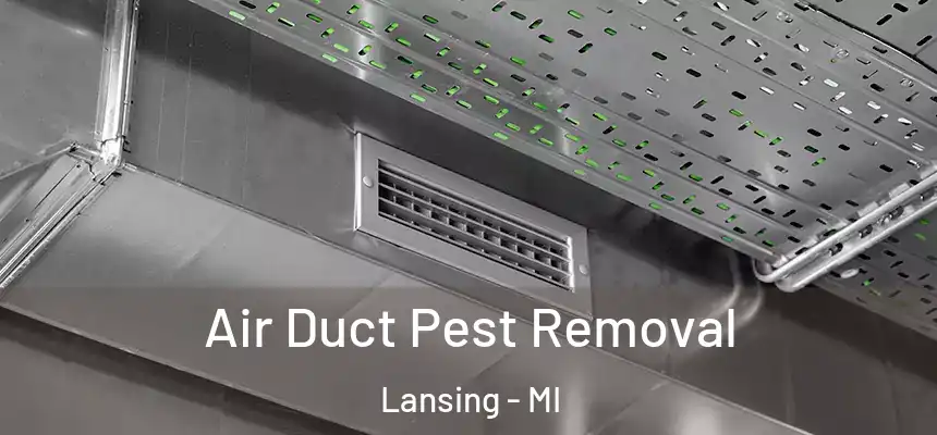 Air Duct Pest Removal Lansing - MI