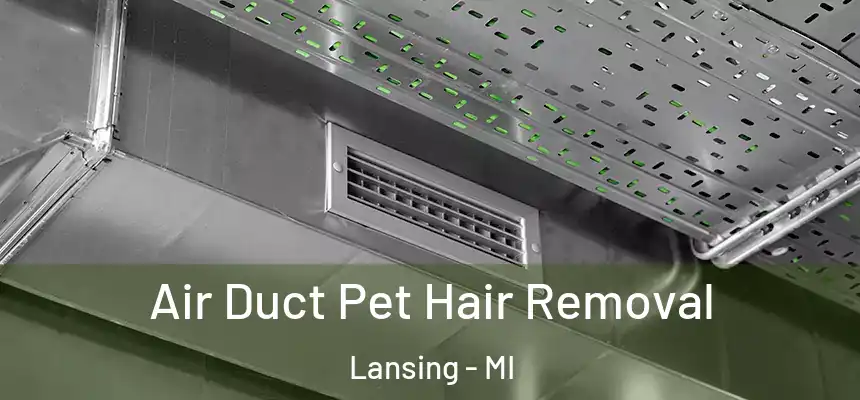 Air Duct Pet Hair Removal Lansing - MI