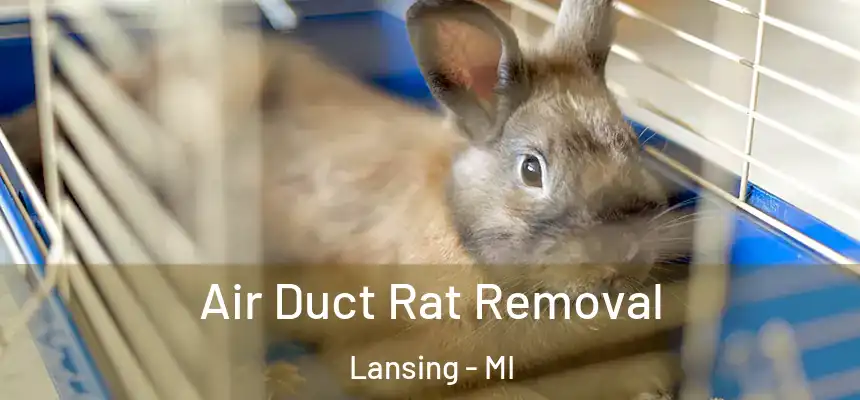  Air Duct Rat Removal Lansing - MI