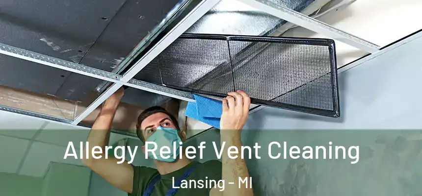 Allergy Relief Vent Cleaning Lansing - MI