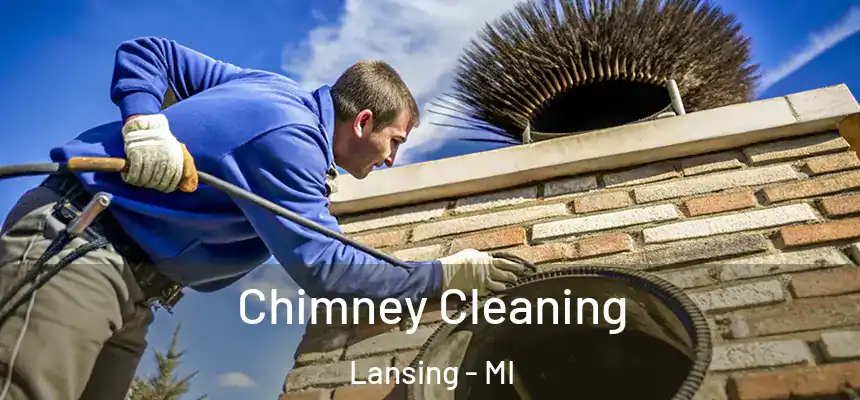 Chimney Cleaning Lansing - MI
