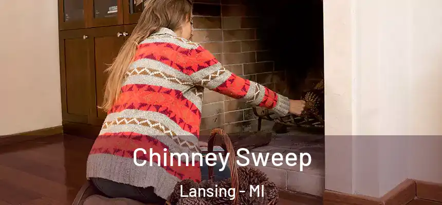 Chimney Sweep Lansing - MI