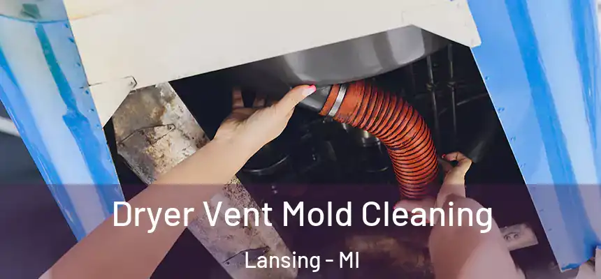 Dryer Vent Mold Cleaning Lansing - MI