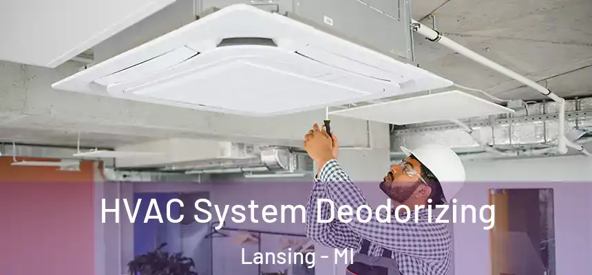 HVAC System Deodorizing Lansing - MI