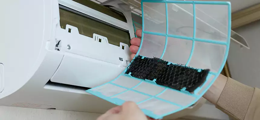 Gentle Ductwork Odor-Control Pet Dander Duct Cleaning in Lansing, MI