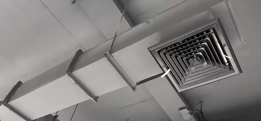 Our Rodent Droppings In Vents Services in Lansing, MI