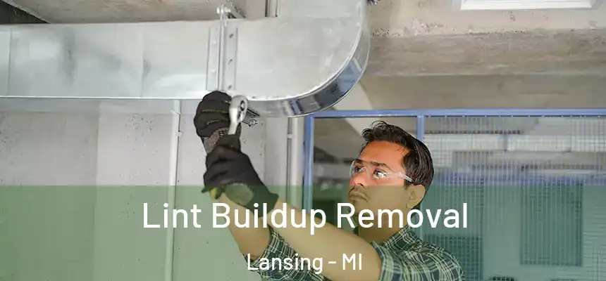 Lint Buildup Removal Lansing - MI