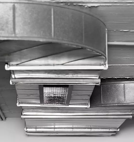 Professional Air Duct Pest Removal in Lansing, MI