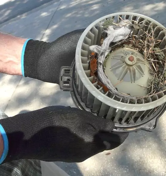 About Air Duct Rat Removal in Lansing, MI