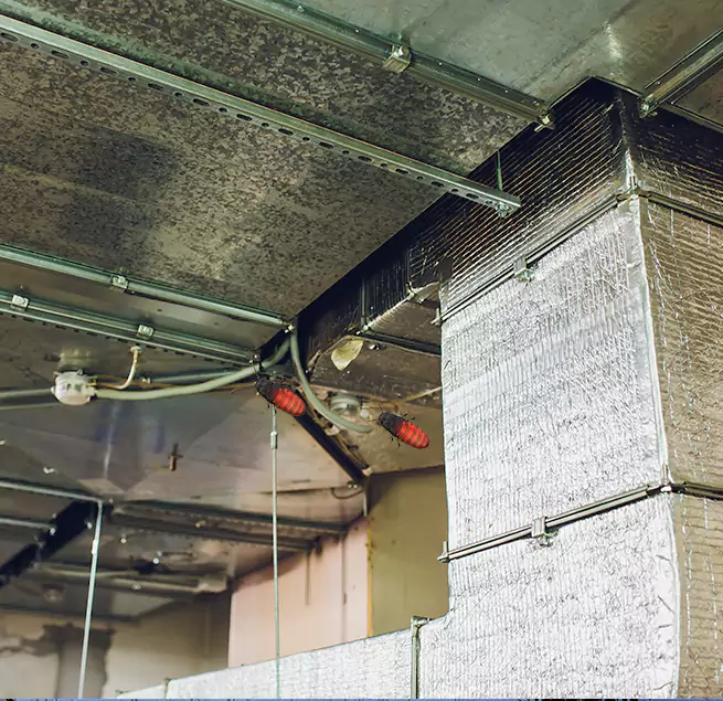 Why Homeowners & Businesses Trust Us in Lansing, MI?