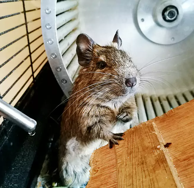 Why Homeowners & Businesses Trust Us Lansing, MI