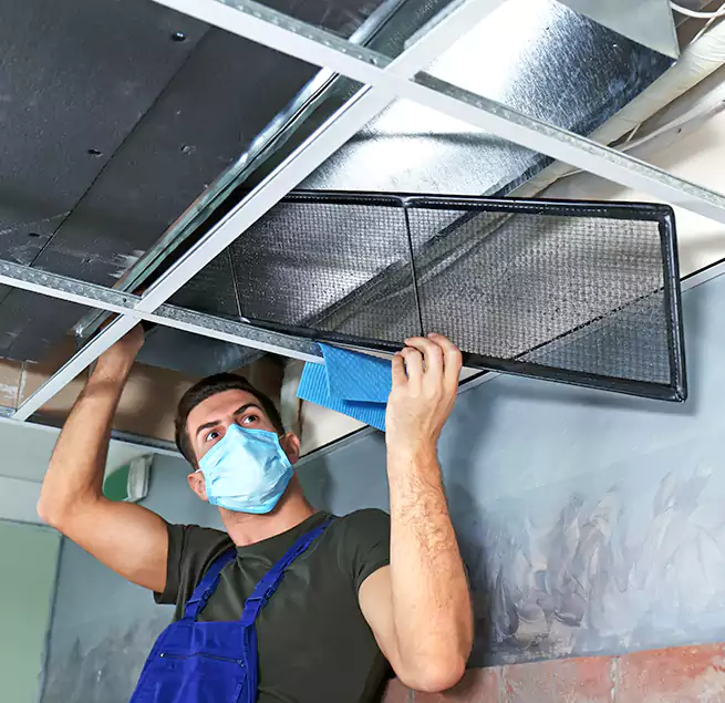 Why Homeowners Businesses Trust Us in Lansing, MI